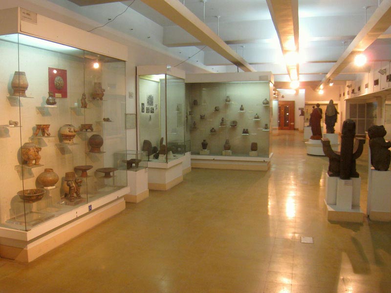 Private Full Day National Museum Delhi Tour